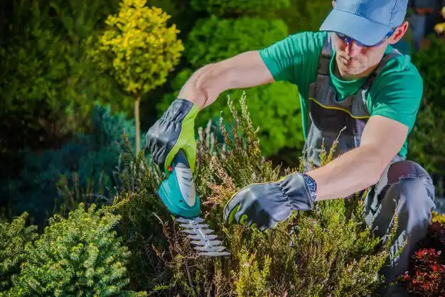 landscaping services Charlevoix